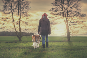 5 conseils pour une promenade canine réussie