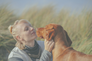 Lire la suite à propos de l’article La réussite discrète : une autre vision de l’éducation canine