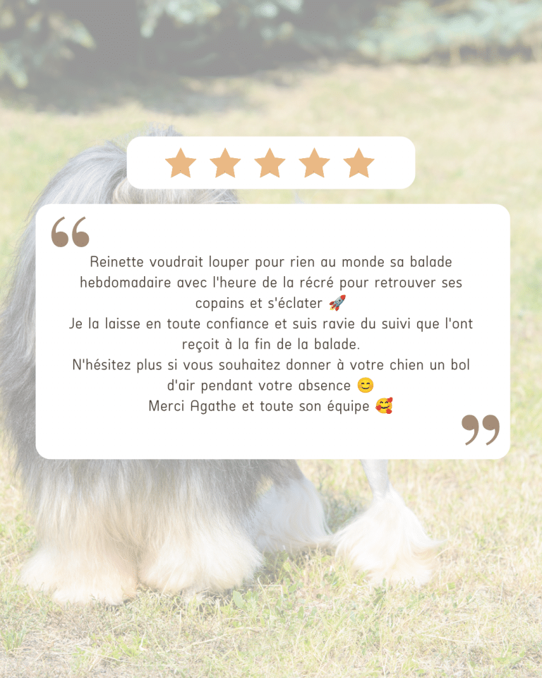 avis chien education