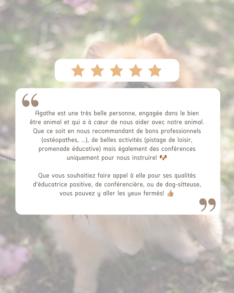 avis chien education