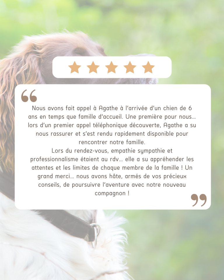 avis chien education
