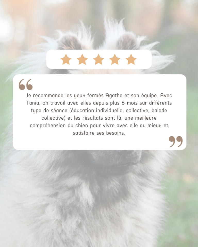 avis chien education